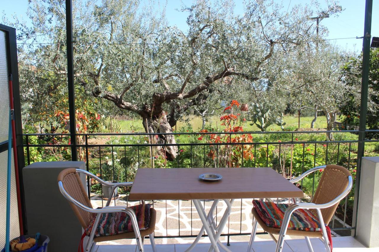 Poúlithra Rentoulia Apartments מראה חיצוני תמונה